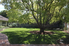 Enlarge photo 4