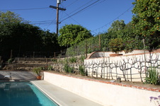 Enlarge photo 26