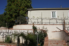 Enlarge photo 28