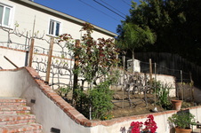 Enlarge photo 27