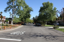 Enlarge photo 37