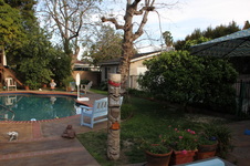 Enlarge photo 29