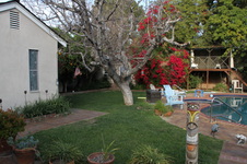 Enlarge photo 30
