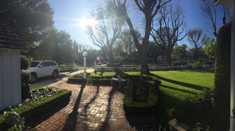 Enlarge photo 5