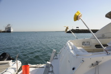 Enlarge photo 17