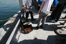 Enlarge photo 7