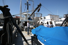 Enlarge photo 16