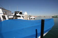 Enlarge photo 17