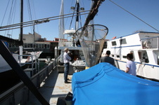 Enlarge photo 18
