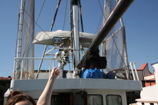 Enlarge photo 19