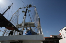 Enlarge photo 39
