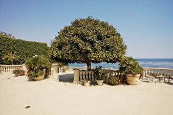 Enlarge photo 160