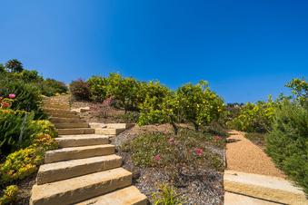 Enlarge photo 53