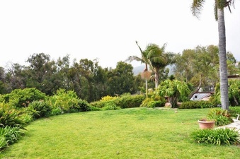 Enlarge photo 87