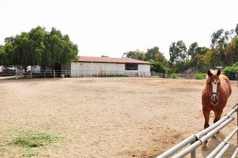 Enlarge photo 92
