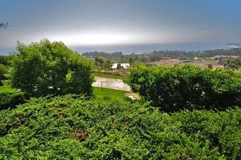Enlarge photo 93