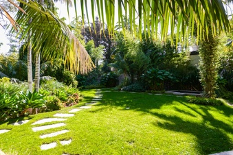 Enlarge photo 63