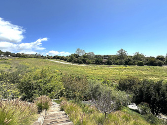 Enlarge photo 138