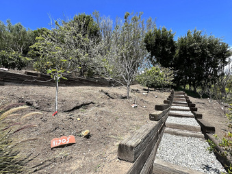 Enlarge photo 140