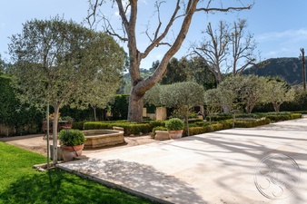 Enlarge photo 11