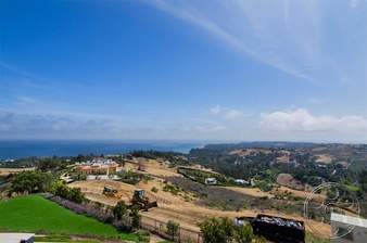 Enlarge photo 45