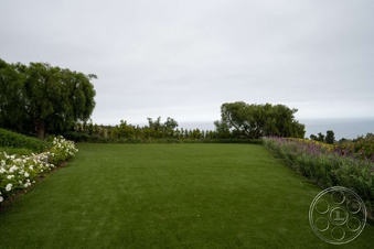 Enlarge photo 84