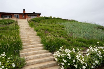 Enlarge photo 85