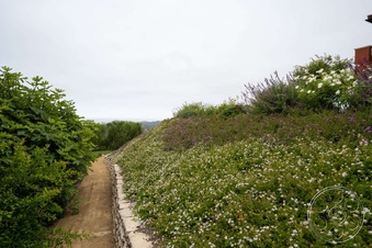 Enlarge photo 88
