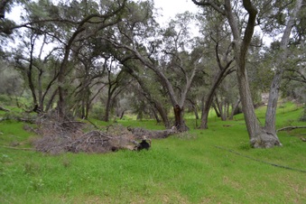 Enlarge photo 6