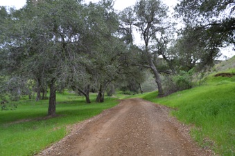 Enlarge photo 16