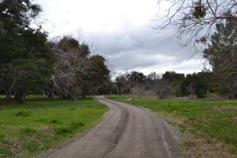 Enlarge photo 19