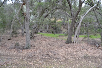 Enlarge photo 22