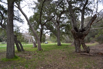 Enlarge photo 24