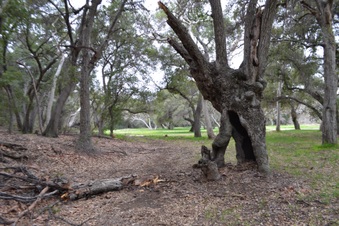 Enlarge photo 23