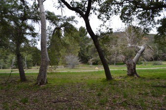 Enlarge photo 25