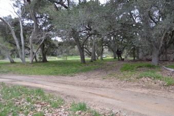 Enlarge photo 28