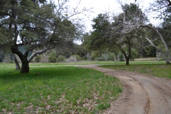 Enlarge photo 26
