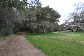 Enlarge photo 29