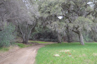 Enlarge photo 30