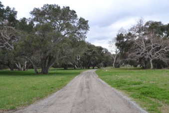 Enlarge photo 31