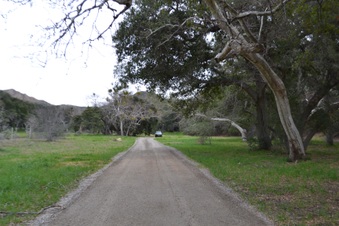 Enlarge photo 32