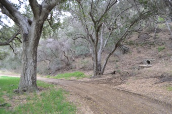 Enlarge photo 33