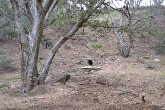 Enlarge photo 34
