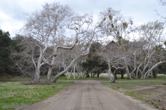 Enlarge photo 35
