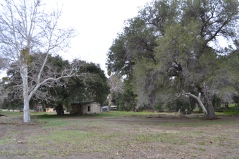 Enlarge photo 38