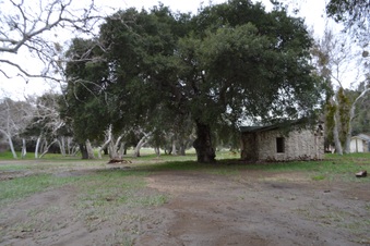 Enlarge photo 37