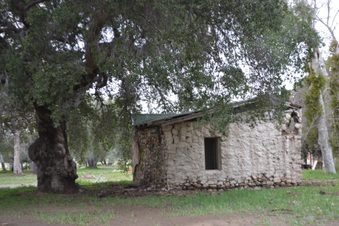 Enlarge photo 39