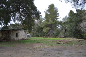 Enlarge photo 40