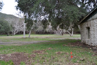 Enlarge photo 42