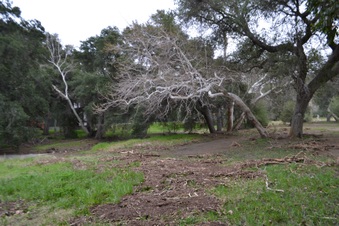 Enlarge photo 43